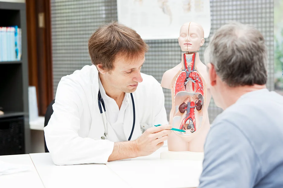 a doctor explains the cause of groin pain to his patient