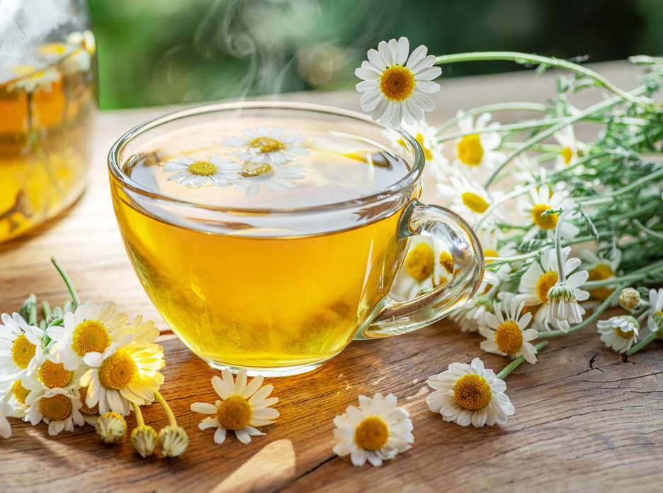 chamomile tea for back pain relief